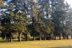 2407 Old State Rd, Cameron, SC 29030 - Photo 61