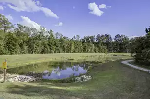 827 Kirby Ct, Charleston, SC 29414 - Photo 39