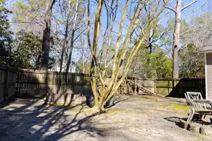 161 Hickory Trace Dr, Goose Creek, SC 29445 - Photo 59