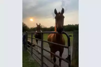 185 Gabby Hall Court, Holly Hill, SC 29059 - Photo 7