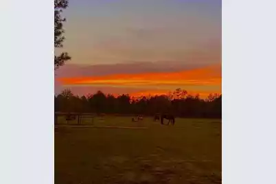 185 Gabby Hall Court, Holly Hill, SC 29059 - Photo 33