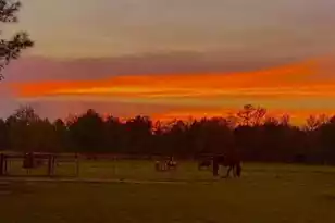 185 Gabby Hall Ct, Holly Hill, SC 29059 - Photo 33