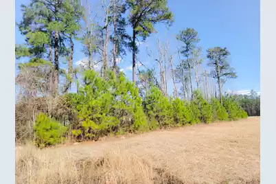 1374 Jedburg Road, Summerville, SC 29486 - Photo 5