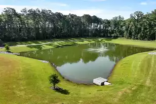 325 Bluebell Wy, Moncks Corner, SC 29461 - Photo 41