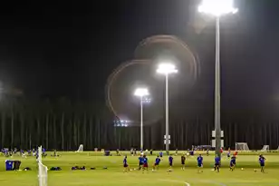 1855 Bolden Dr, Mount Pleasant, SC 29466 - Photo 39