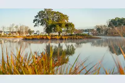 1855 Bolden Drive, Mount Pleasant, SC 29466 - Photo 41