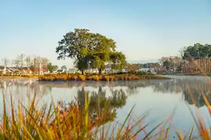 1855 Bolden Dr, Mount Pleasant, SC 29466 - Photo 41