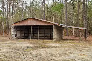 261 Field Creek Rd, Ruffin, SC 29475 - Photo 9