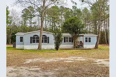 261 Field Creek Road, Ruffin, SC 29475 - Photo 3