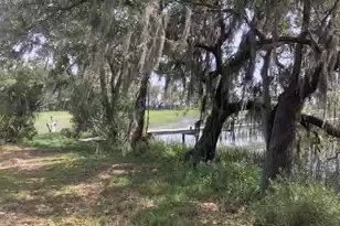 6852 McCants Rd, Wadmalaw Island, SC 29487 - Photo 17