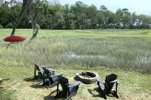 6852 McCants Rd, Wadmalaw Island, SC 29487 - Photo 19