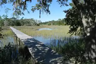 6852 McCants Rd, Wadmalaw Island, SC 29487 - Photo 21