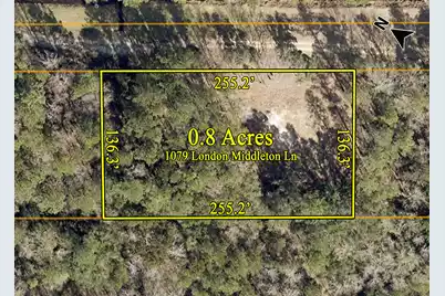 1079 London Middleton Lane, McClellanville, SC 29458 - Photo 1