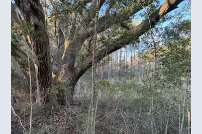 1079 London Middleton Lane, McClellanville, SC 29458 - Photo 3