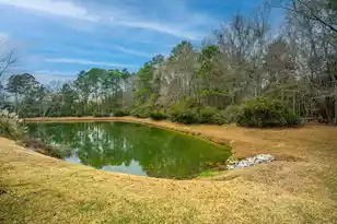 291 Cabrill Dr, Charleston, SC 29414 - Photo 53