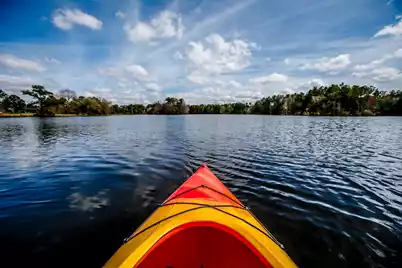 1055 Red Turnstone Run, Summerville, SC 29485 - Photo 33
