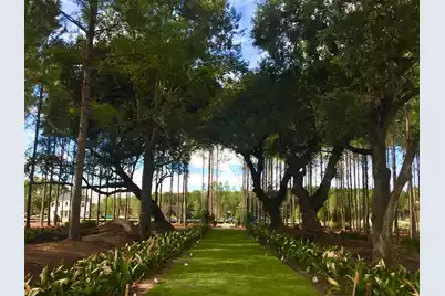 1055 Red Turnstone Run, Summerville, SC 29485 - Photo 37