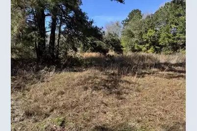 280 Lighthouse Lane, Green Pond, SC 29446 - Photo 3