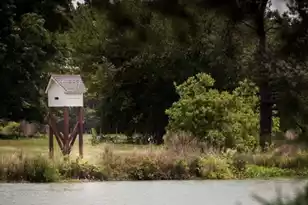 1022 Patagonia St, Summerville, SC 29485 - Photo 11