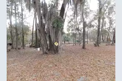 Lot 4 Edisto Oak Lane, Edisto Island, SC 29438 - Photo 1