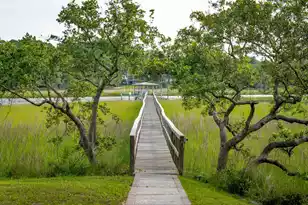 510 Traders Alley, Mount Pleasant, SC 29464 - Photo 5