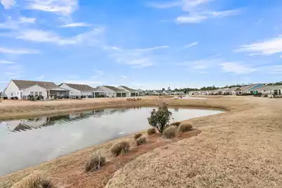 355 Dahlia Row Drive, Summerville, SC 29486 - Photo 39