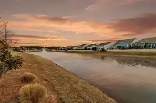 355 Dahlia Row Dr, Summerville, SC 29486 - Photo 35