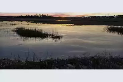 54 Watroo Point, Charleston, SC 29492 - Photo 61