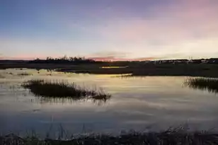 54 Watroo Point, Charleston, SC 29492 - Photo 61