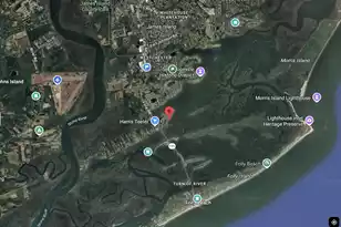 1599 Terns Nest Rd, Charleston, SC 29412 - Photo 25