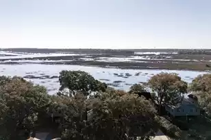 1599 Terns Nest Rd, Charleston, SC 29412 - Photo 17