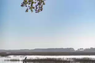 1599 Terns Nest Rd, Charleston, SC 29412 - Photo 9