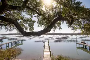 1599 Terns Nest Rd, Charleston, SC 29412 - Photo 5