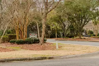 1905 Bristle Pine Court, Mount Pleasant, SC 29466 - Photo 47