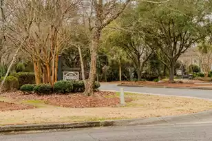 1905 Bristle Pine Ct, Mount Pleasant, SC 29466 - Photo 47