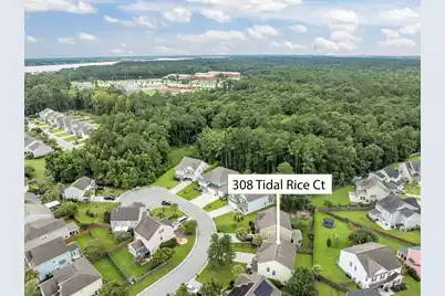 308 Tidal Rice Court, Wando, SC 29492 - Photo 15