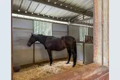 163 Keans Neck Road, Seabrook, SC 29940 - Photo 3