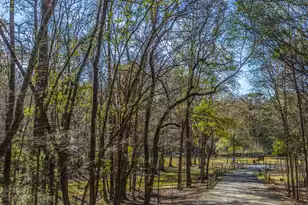 205 Woodlake Dr, Summerville, SC 29485 - Photo 47