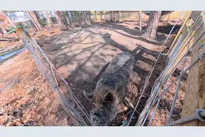 628 Deepwood Court, Moncks Corner, SC 29461 - Photo 57