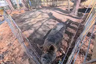 628 Deepwood Ct, Moncks Corner, SC 29461 - Photo 57