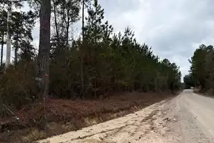 Bff II 2 J C Barefoot Road #Bff II 2, Patrick, SC 29584 - Photo 1