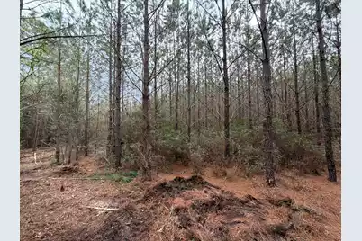 Bff II 2 J C Barefoot Road #Bff II 2, Patrick, SC 29584 - Photo 3