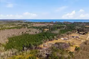 662 Country Pond Ln, Cross, SC 29436 - Photo 39