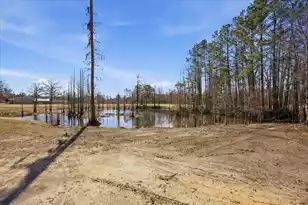 662 Country Pond Ln, Cross, SC 29436 - Photo 35