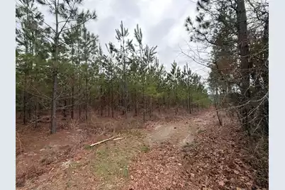 Bff II 3 J C Barefoot Road, Patrick, SC 29584 - Photo 17