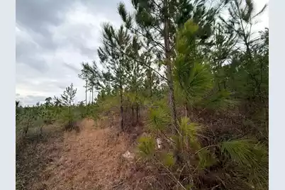 Bff II 3 J C Barefoot Road, Patrick, SC 29584 - Photo 11