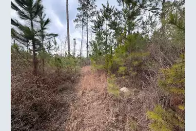 Bff II 3 J C Barefoot Road, Patrick, SC 29584 - Photo 13