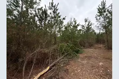 Bff II 3 J C Barefoot Road, Patrick, SC 29584 - Photo 7