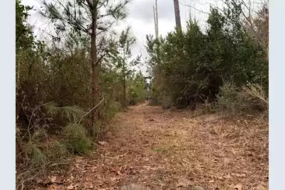 Bff II 3 J C Barefoot Road, Patrick, SC 29584 - Photo 3