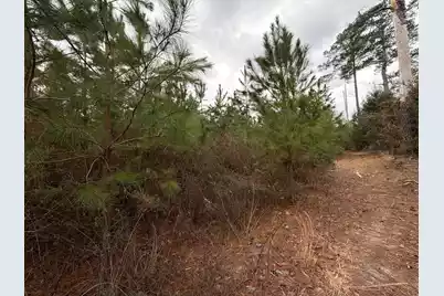 Bff II 4 J C Barefoot Road, Patrick, SC 29584 - Photo 3